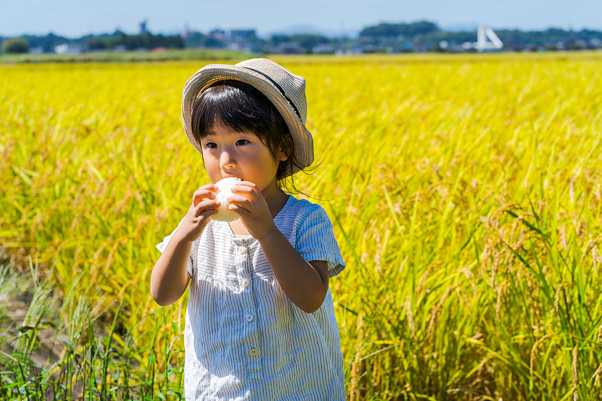 福井からあなたへ