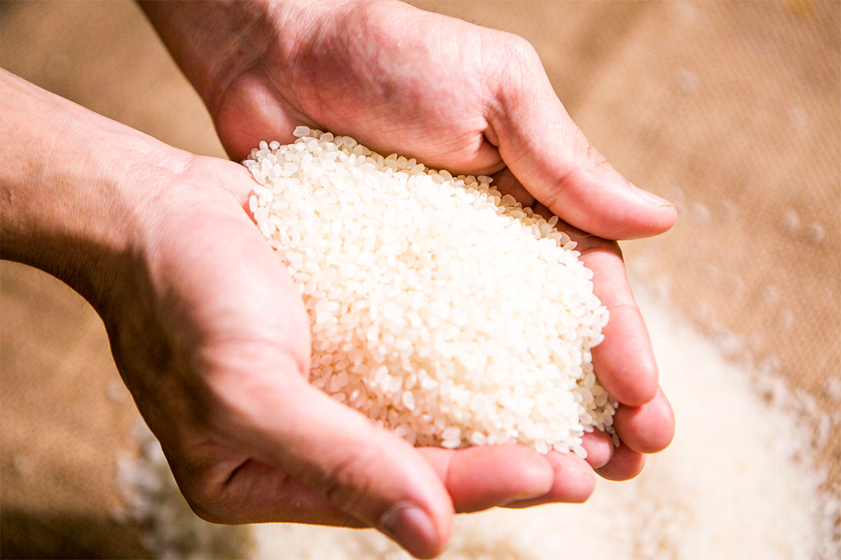 名前の由来は「越の国に光り輝く」