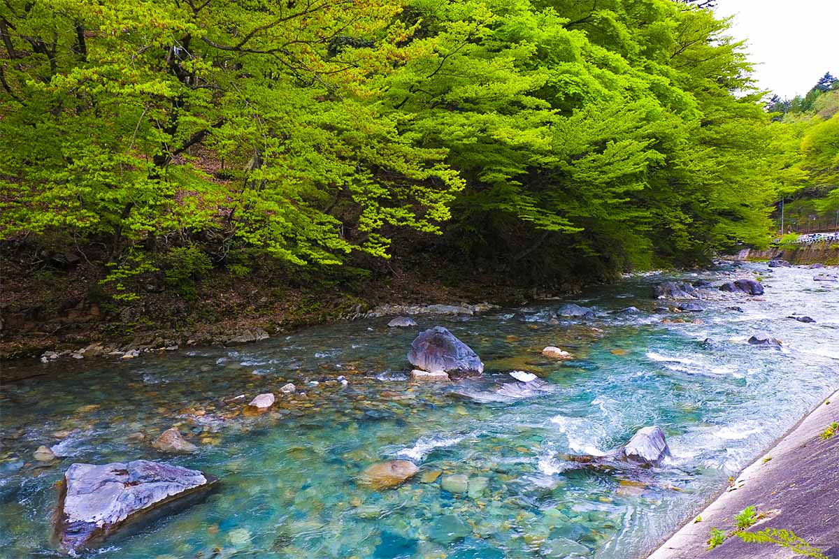美味しいお米は綺麗な水と 自然から生まれる。