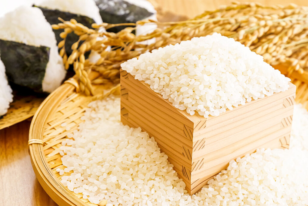 コシヒカリの歴史